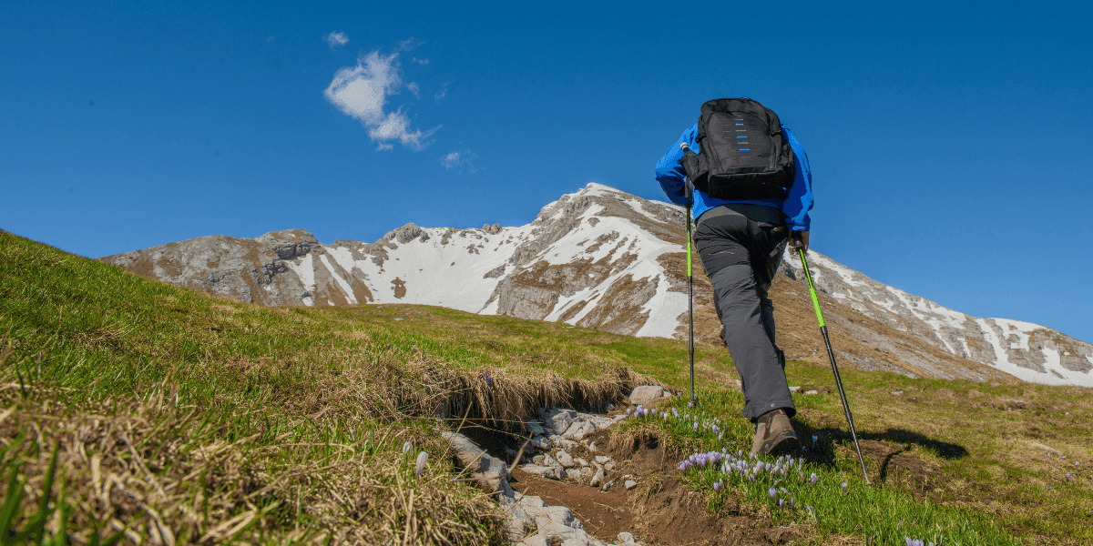 nordic walking turabot